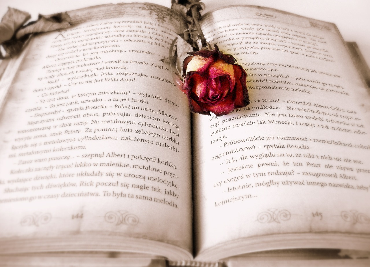 PERSONALIZA LOS SEPARADORES PARA TUS LIBROS
